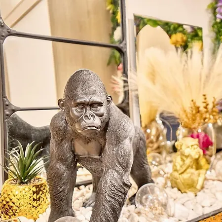 La Bulle étoilée *